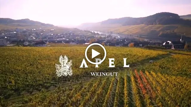 Wein- und Gästehaus Apel GmbH_Nittel_slider_image_2