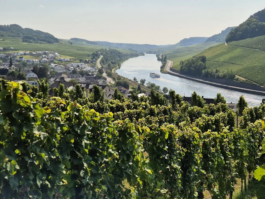 Ron Rae_Weinhütte im Leiterchen_Nittel_review