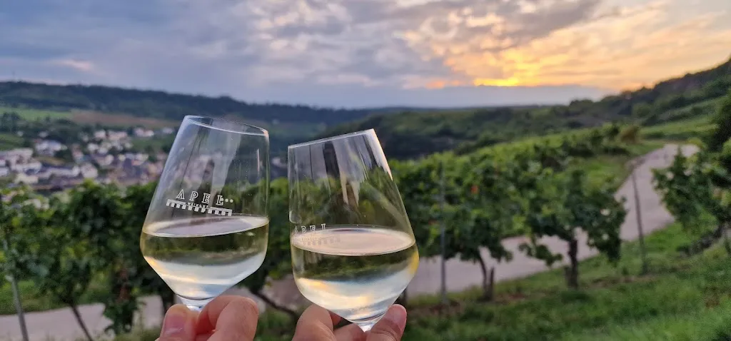 shabnam lotfi_Weinhütte im Leiterchen_Nittel_review