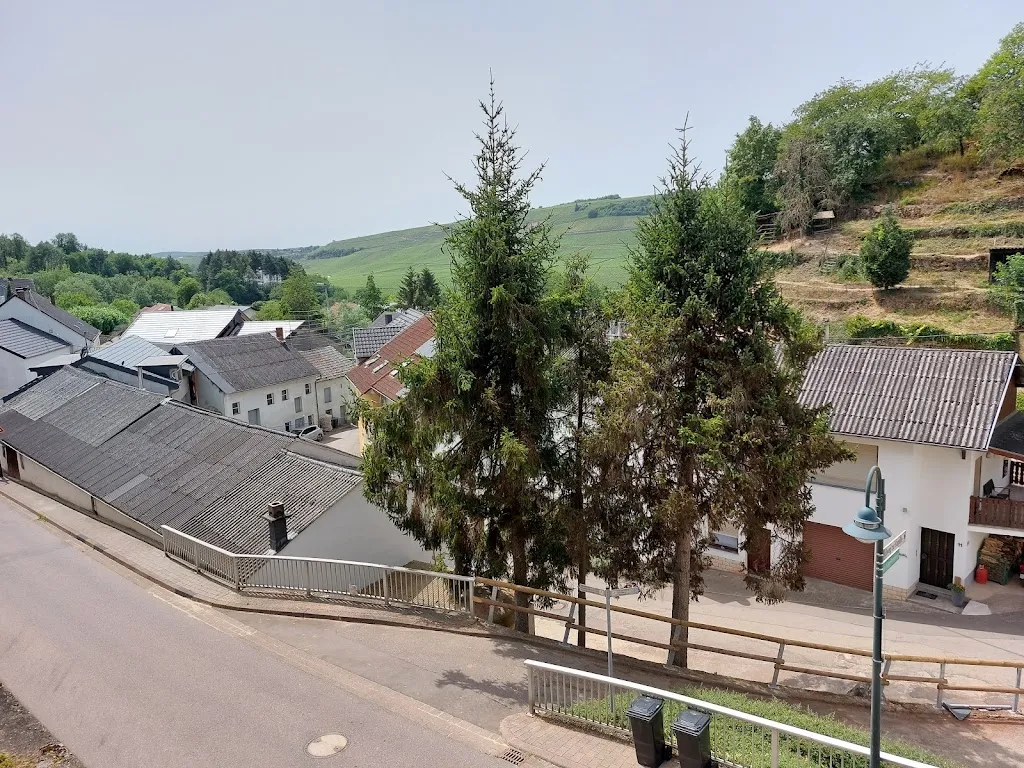 Landhotel Gales Hotel Moselblick_Nittel_slider_image_3