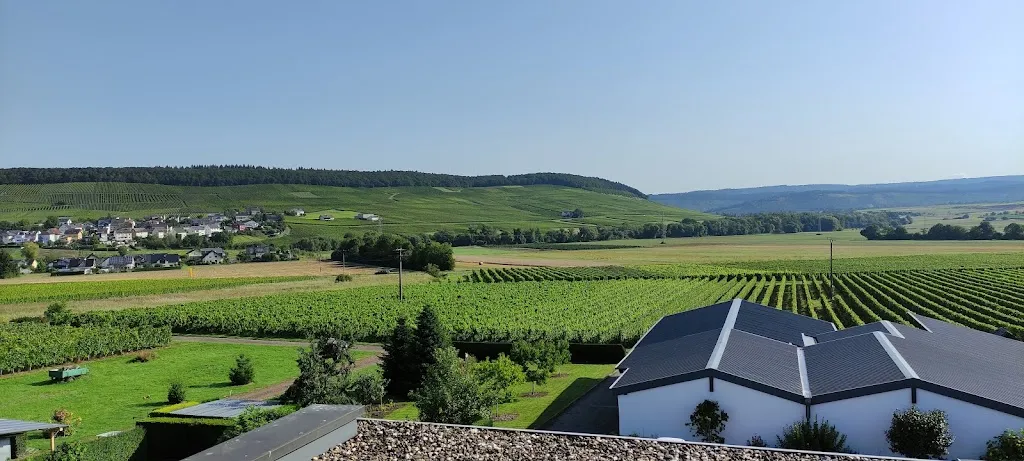 Gaststätte Zur Traube_Osann-Monzel_slider_image_3