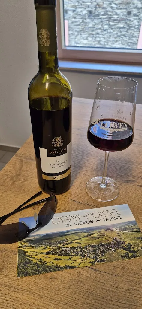 Cristian Yan_Hotel Moselsteig e.K._Osann-Monzel_review