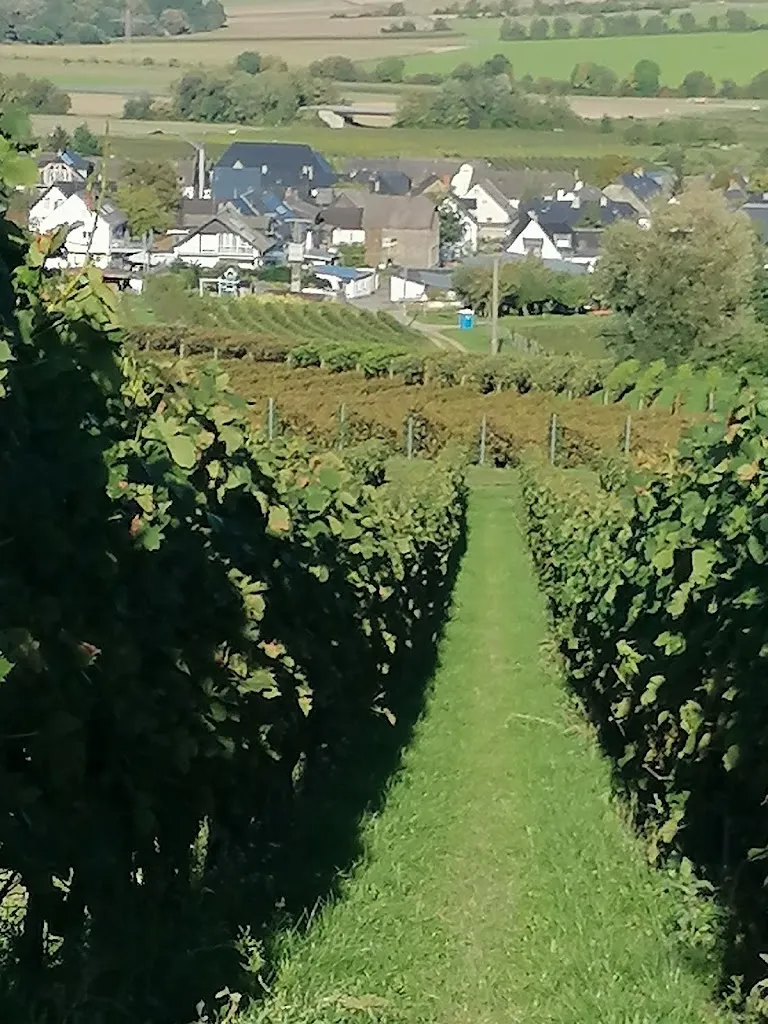 A. BO._Gästehaus Marietta Brösch_Osann-Monzel_review