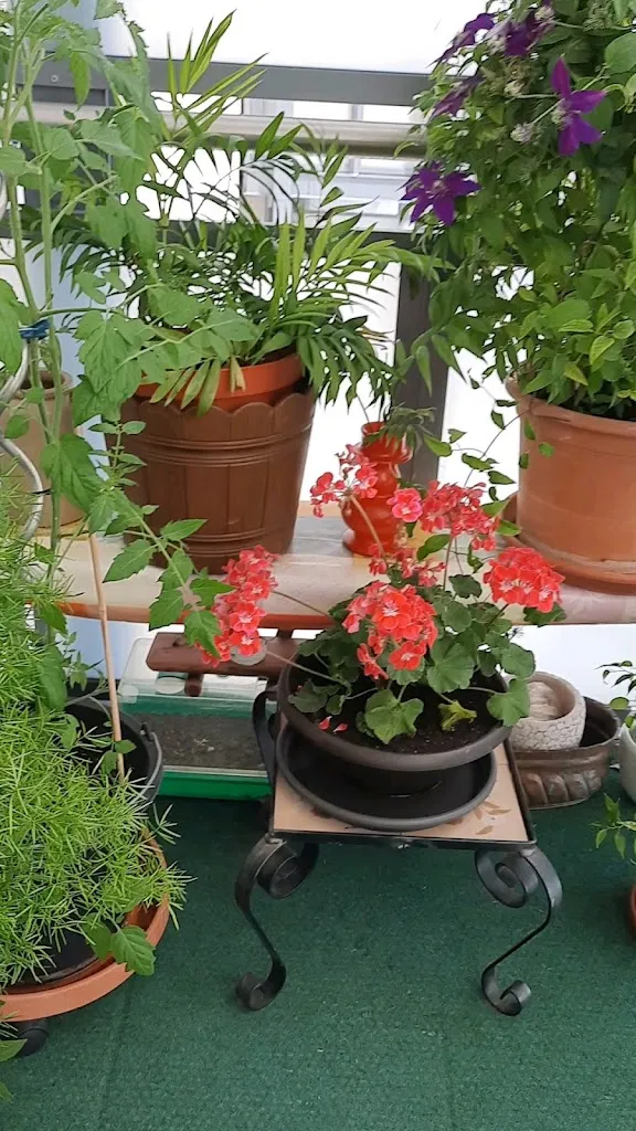 Gasthaus Zum kühlen Grunde_Otterbach_slider_image_2