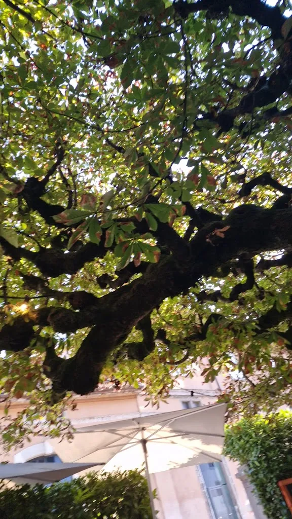 Cantinetta Bindella Solothurn_Solothurn_slider_image_2