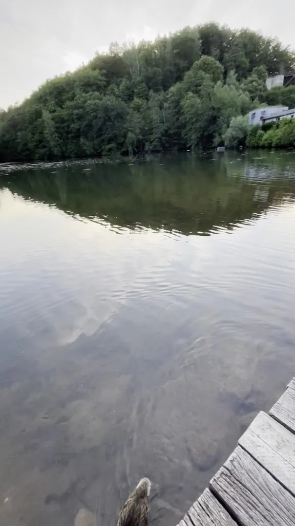 seehaus forelle haeckenhaus Betriebs GmbH_Ramsen_slider_image_1