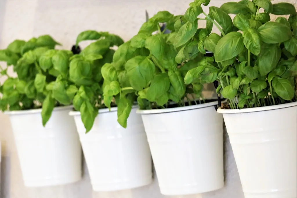 Menu_Rhens Kebap Pizza Haus_Rhens_image_8