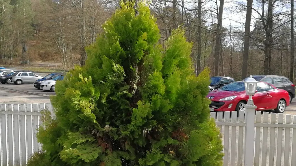 Forsthaus Beckenhof_Pirmasens_slider_image_2