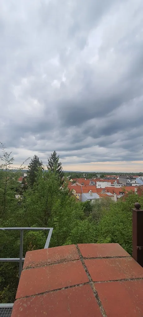 Batuhan Yıldırım_Wirgarten_Dingolfing_review