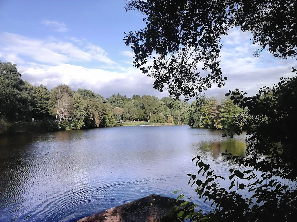 Cafe Ohmbachsee_Schönenberg-Kübelberg_slider_image_1