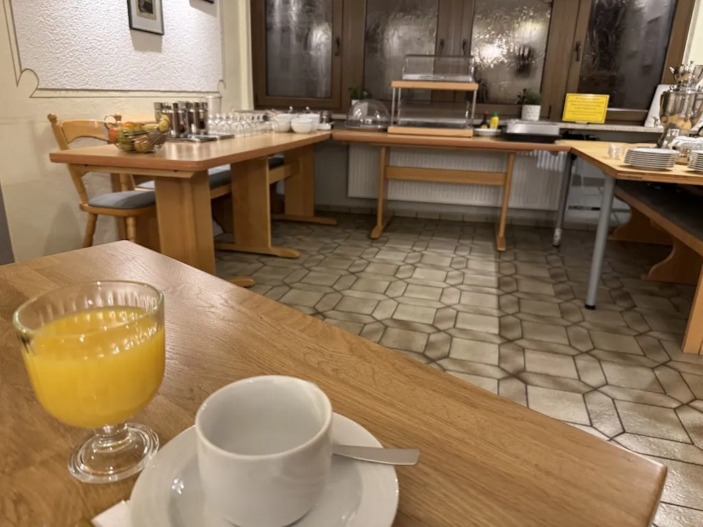 Timo Honkanen_Hotel zur Loreley - Garni_Goar_review