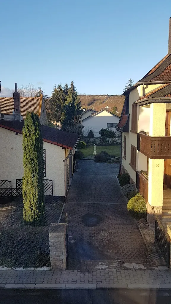 Sabin Preda_Da Enzo - Pizzeria und Trattoria / Hotel_Siefersheim_review