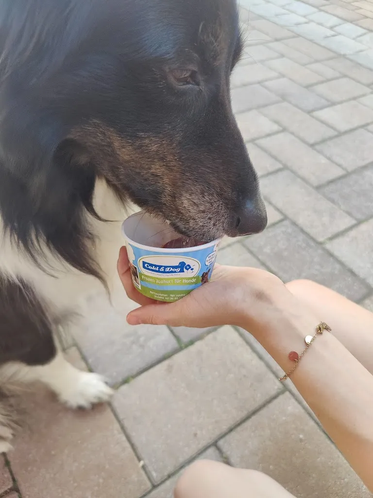 Andreas Schäfer_Eis Werkstatt Schweigen_Schweigen-Rechtenbach_review