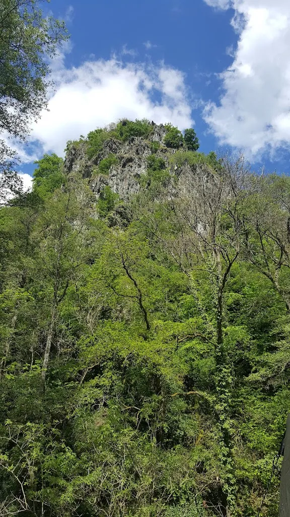Meneverius Si_Campingplatz Haumühle_Simmertal_review