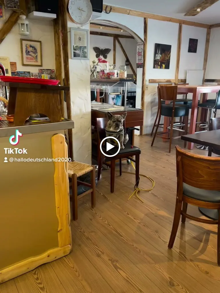 Pannekooche - Schnitzel Haus Stadtkyll 🧑🏻‍🍳 / Angebot für Familien mit Kinder 10 % auf alles_Stadtkyll_slider_image_2