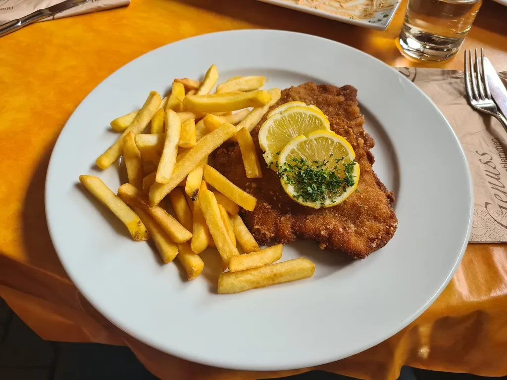 Menu_Gutsschänke Mengel-Eppelmann_Stadecken-Elsheim_immagine_5