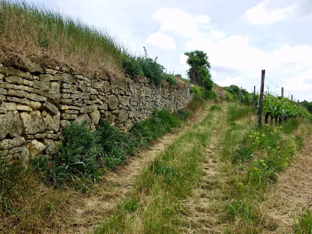 Gutsschänke Mengel-Eppelmann_Stadecken-Elsheim_slider_image_3