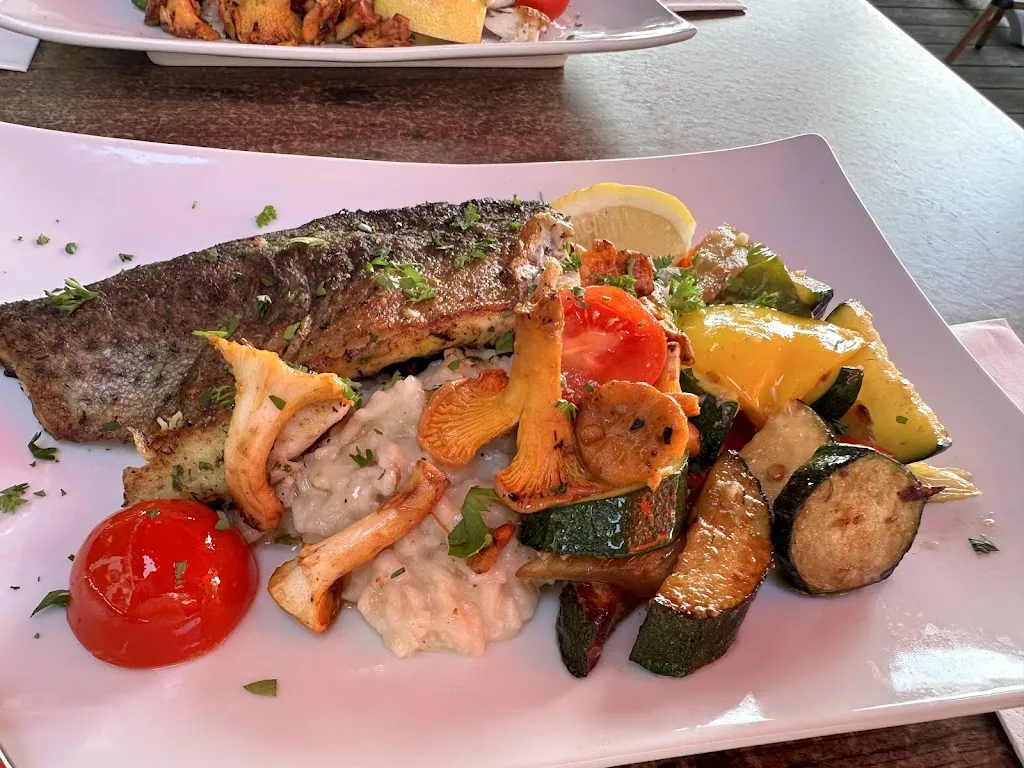 Ioana Siman_Seewirt_Riedering_review