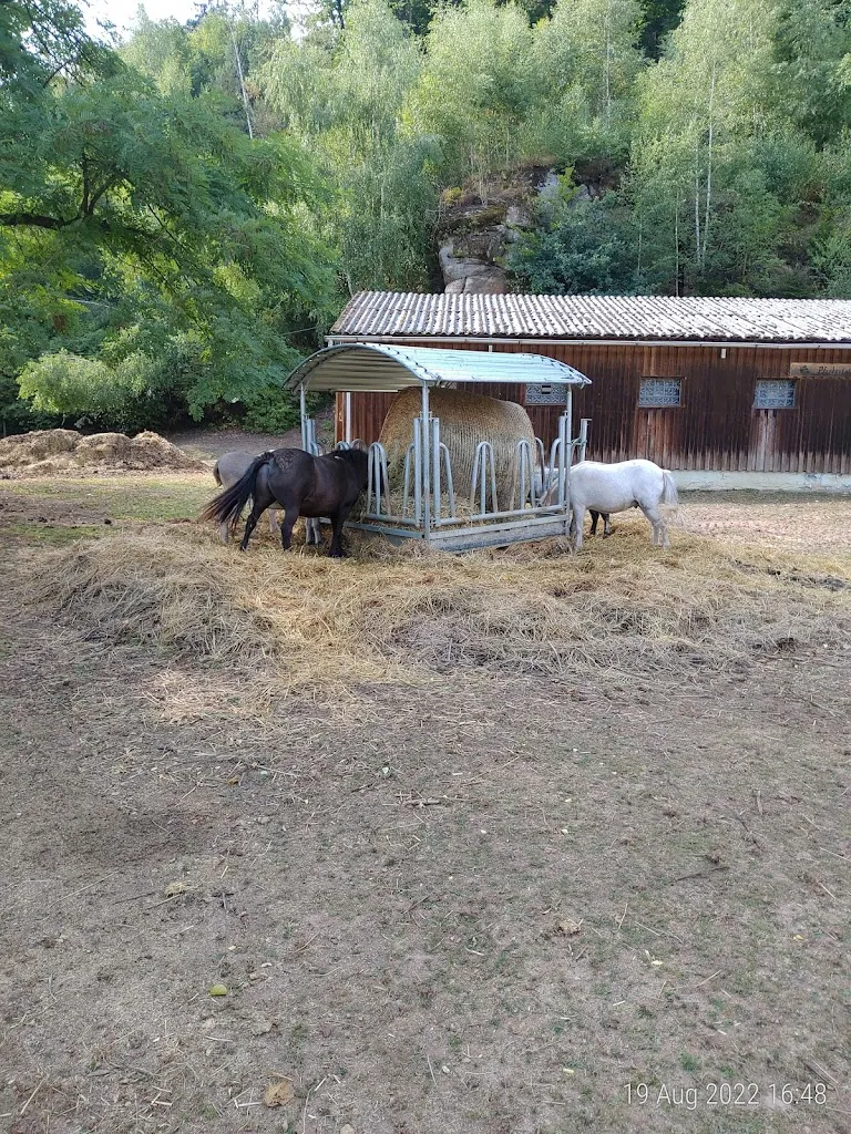 JE Hermes_Landhotel Weihermühle_Herschberg_avis