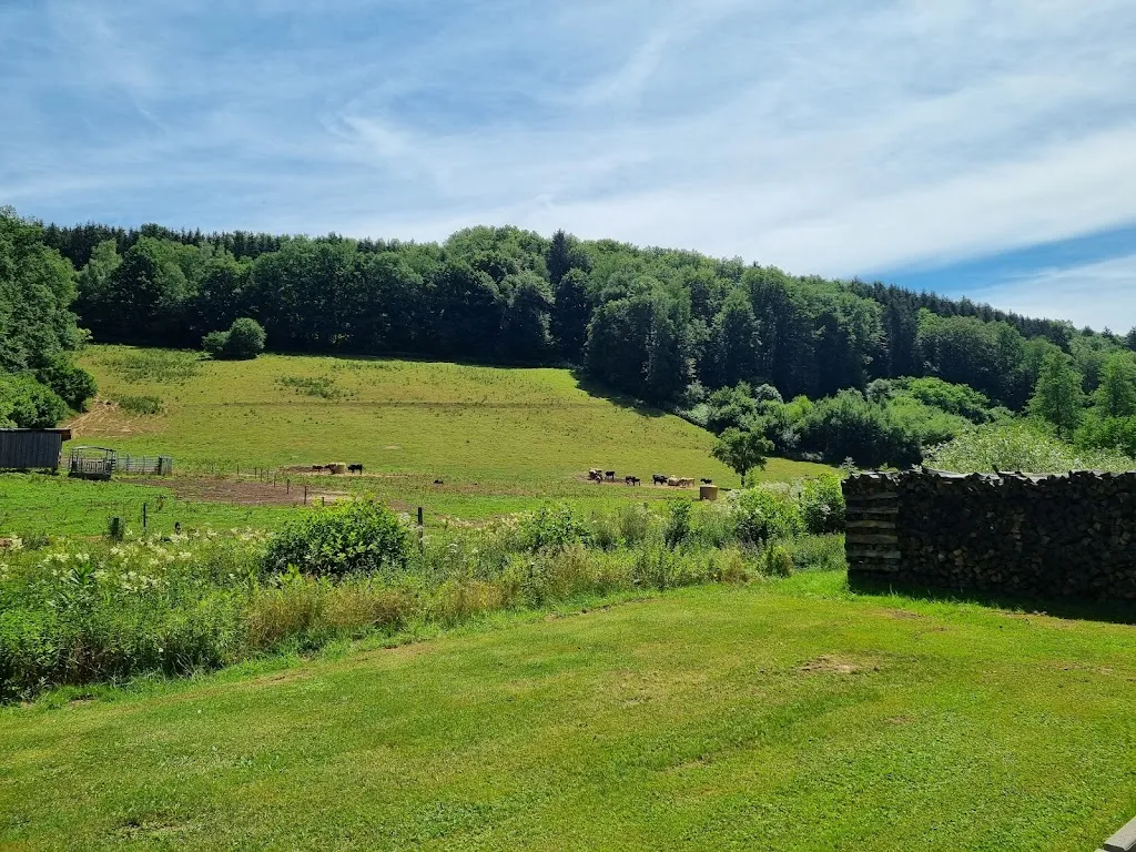 Allie Rogne (Allie in Wanderland)_Landhotel Weihermühle_Herschberg_avis