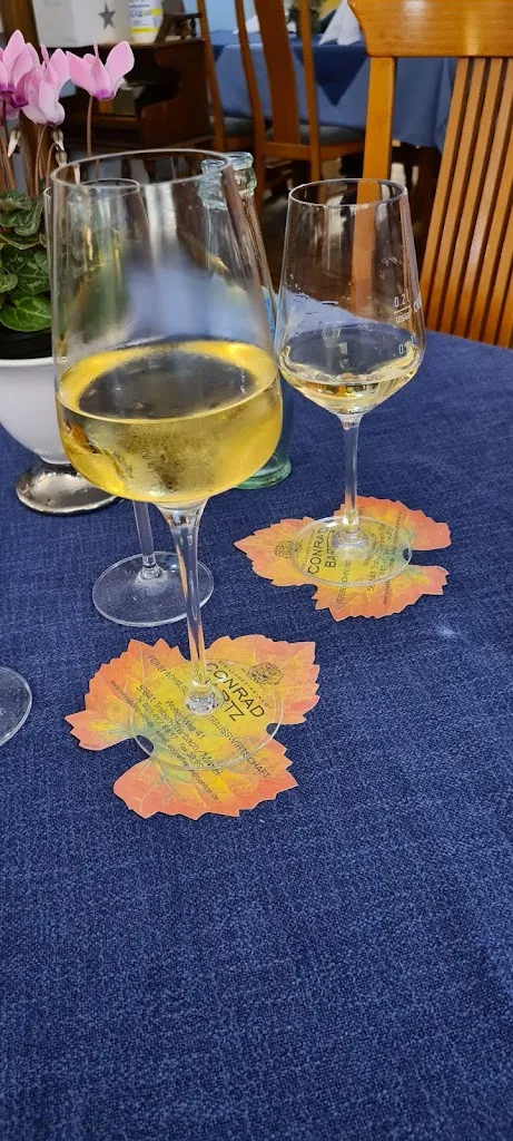 Menu_Schloßbergstübchen_Traben-Trarbach_immagine_4