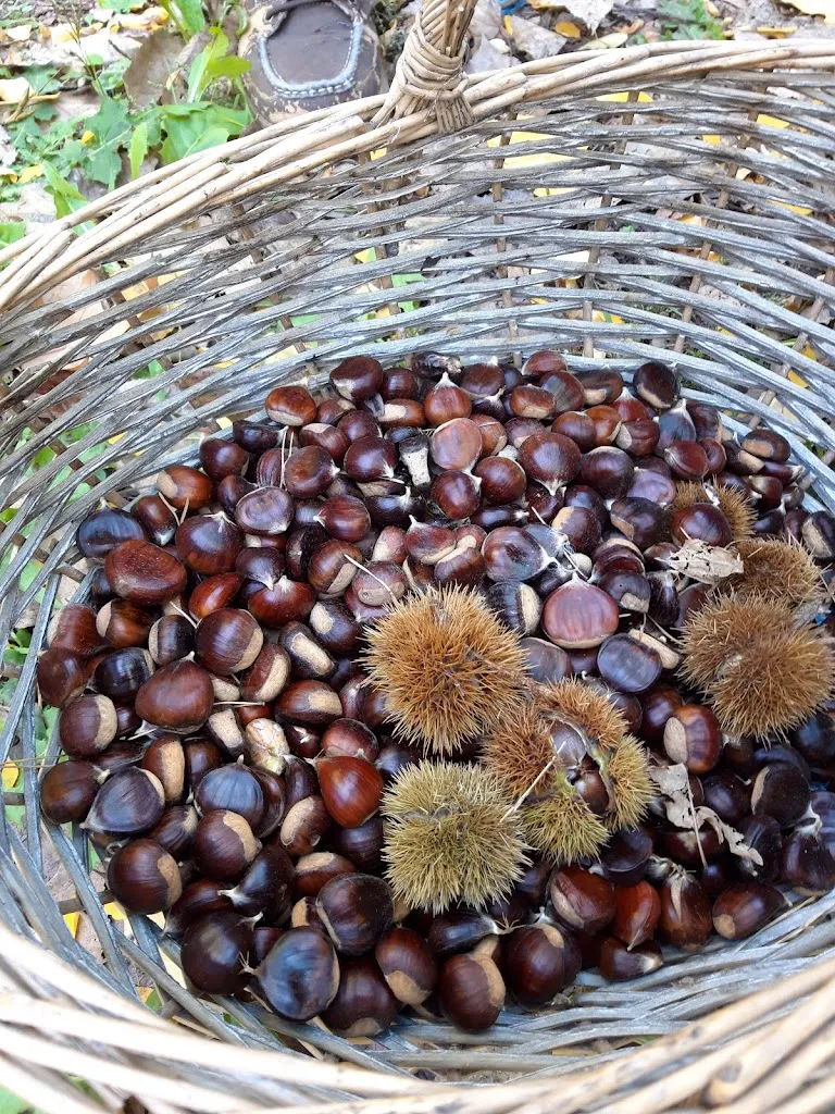 Menu_Kulturkneipe Badehaisel_Weinstraße_image_4