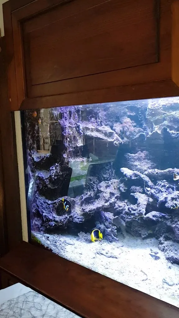 Hotel Restaurant Klosterhof restaurant in Wehr