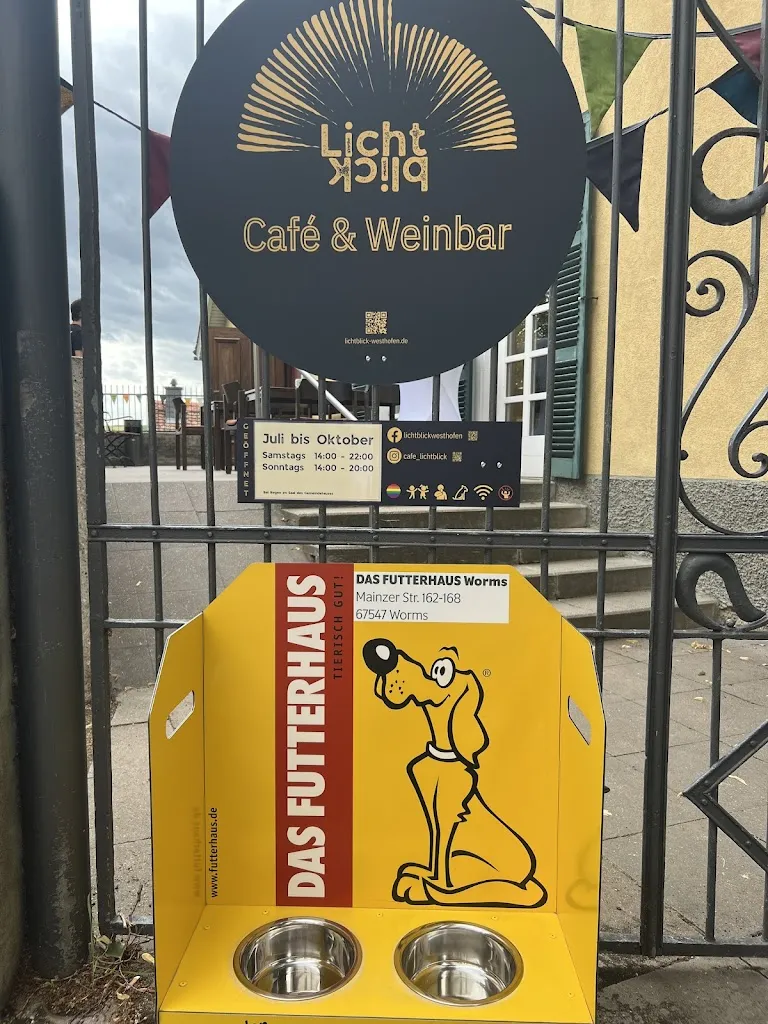 Café & Weinbar Lichtblick_Westhofen_slider_image_3