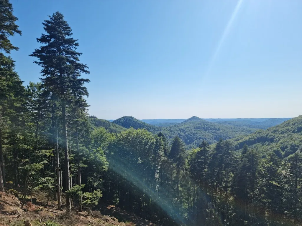Aussichtsplattform Hermersbergerhof Pfälzerwald restaurant in Wilgartswiesen