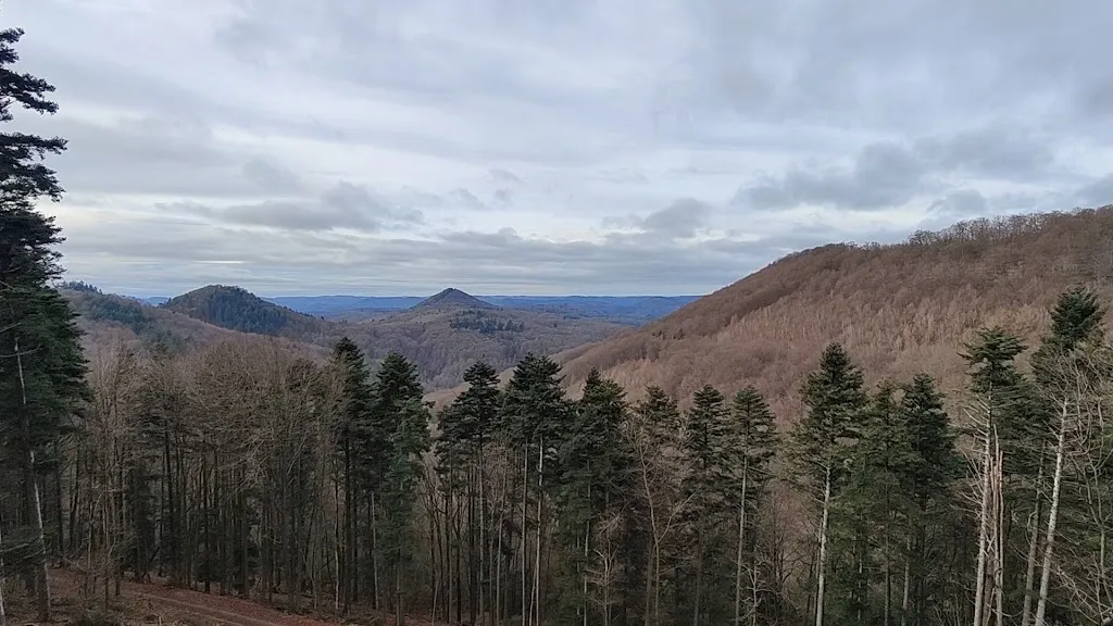 Aussichtsplattform Hermersbergerhof Pfälzerwald_Wilgartswiesen_slider_image_2