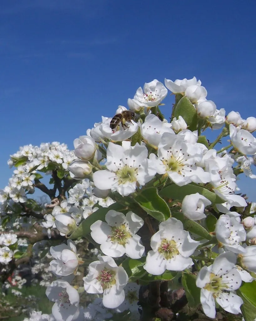 Weingut Peter Bitzel_Winden_slider_image_3