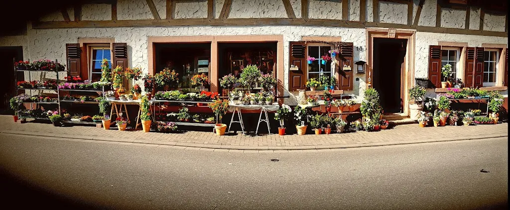 Die Blumenstube_Wolfstein_slider_image_1