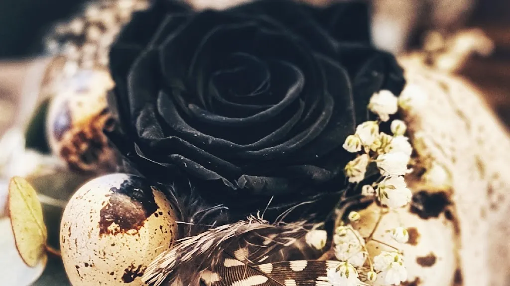 Die Blumenstube_Wolfstein_slider_image_2