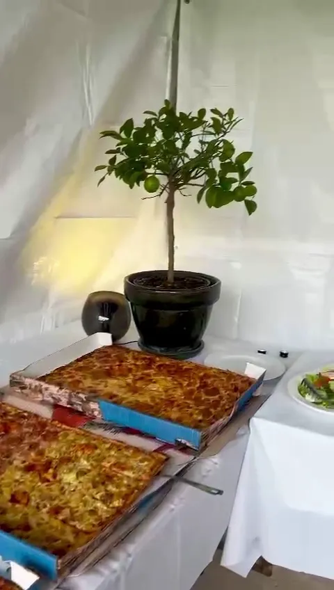 Pizzeria Primavera Wissen_Wissen_slider_image_2