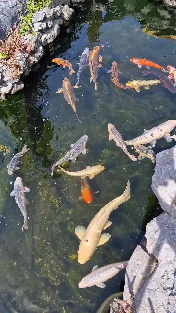 ASIA BISTRO PHAM_Ensdorf_slider_image_2