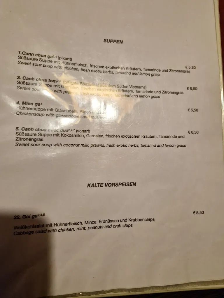 Menu_Vietnamesiches Restaurant Vink__immagine_1