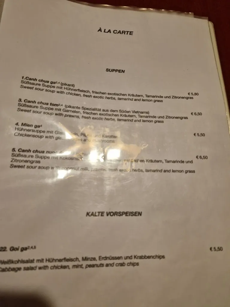 Menu_Vietnamesiches Restaurant Vink__immagine_4