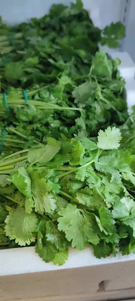 Menü_Coco Chili__Bild_4