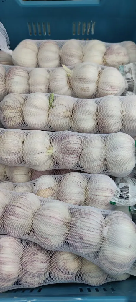 Menü_Coco Chili__Bild_5