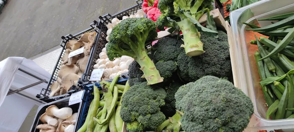 Menü_Coco Chili__Bild_7