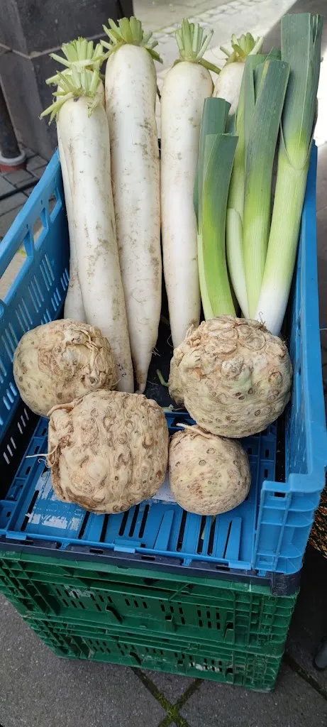 Menü_Coco Chili__Bild_9