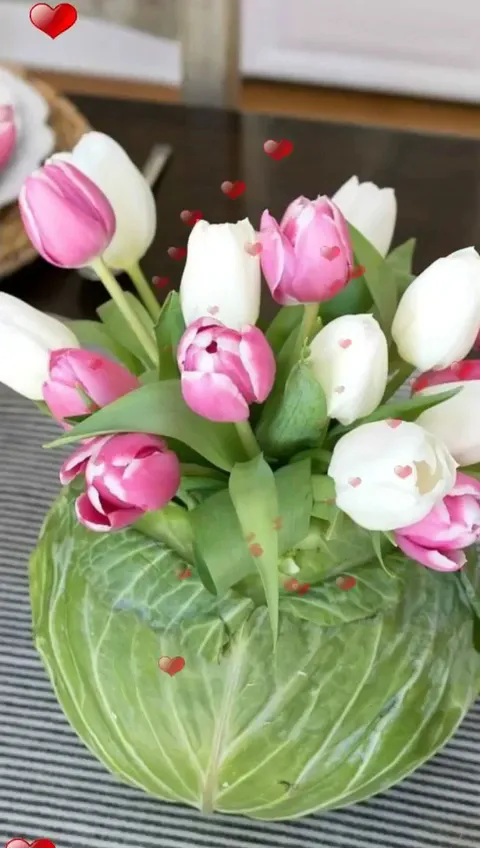 Café Friends__slider_image_2