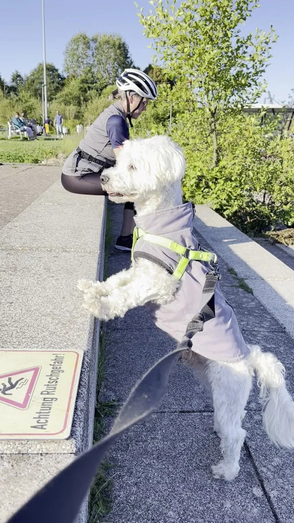 V Khor_Kostbar am See_Nohfelden_review