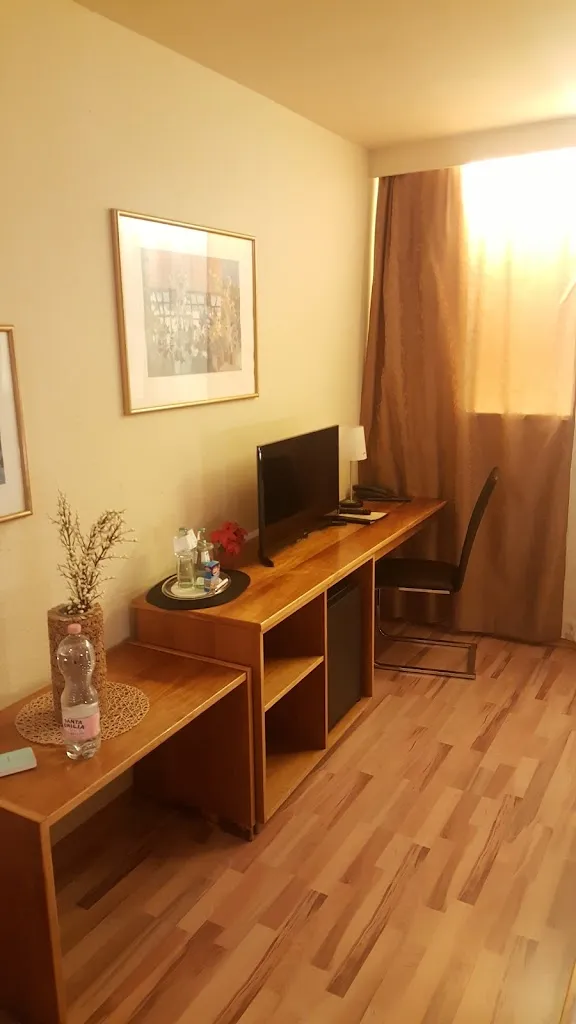 Dr. Mohammad Eid Mahfouz_Hotel Dillinger Hof_Donau_review