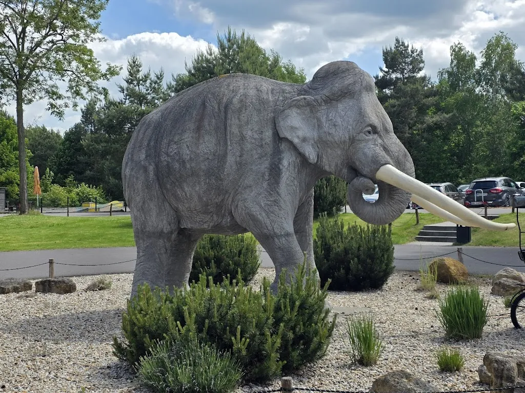 Restaurant Waldelefant_Muldestausee_slider_image_3