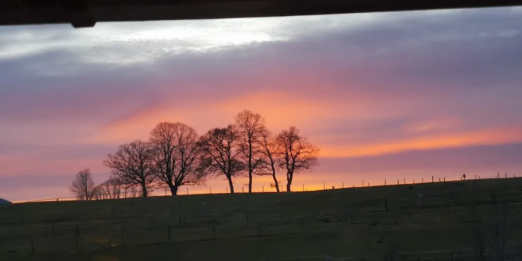 apichart yamprasert_Landgasthof zum Bei_Greiling_review