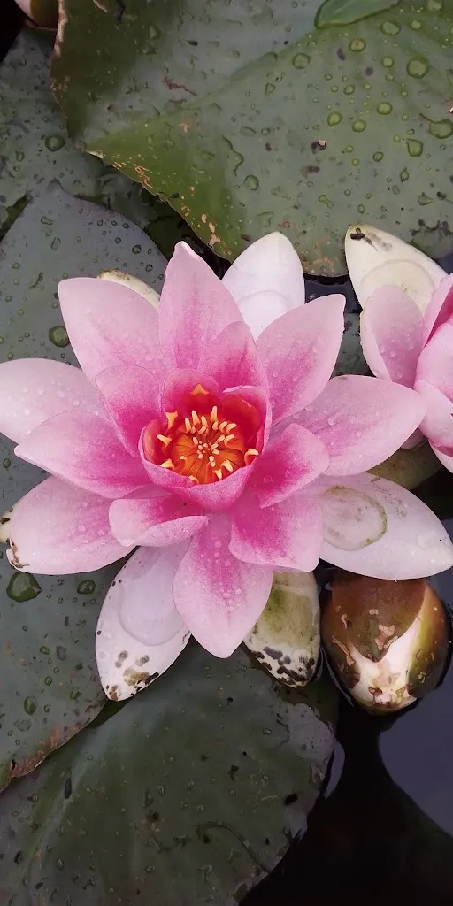 Schlemmerstuebl Bösenbrunn_Bösenbrunn_slider_image_3