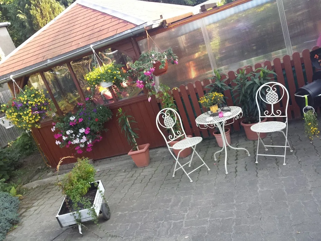 Zum Vogtländer restaurant in Oelsnitz/Vogtl.