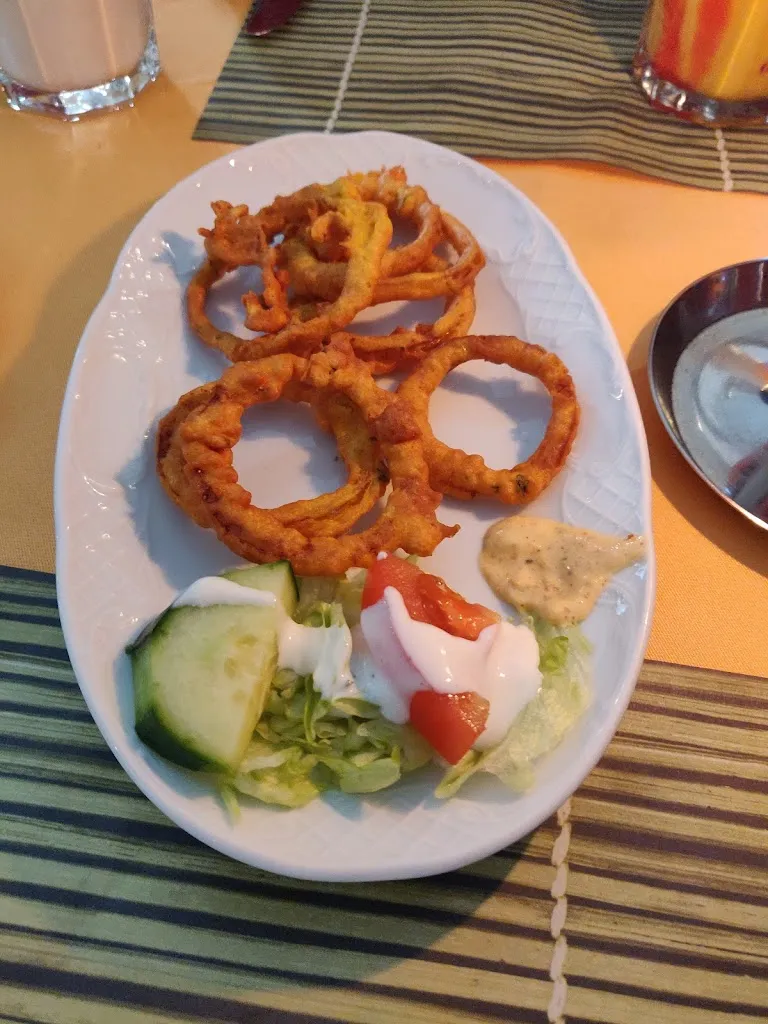 Menu_Bombay Palace Brand-Erbisdorf_Brand-Erbisdorf_immagine_9