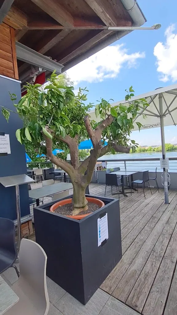 Laurin_Deggendorf_slider_image_2